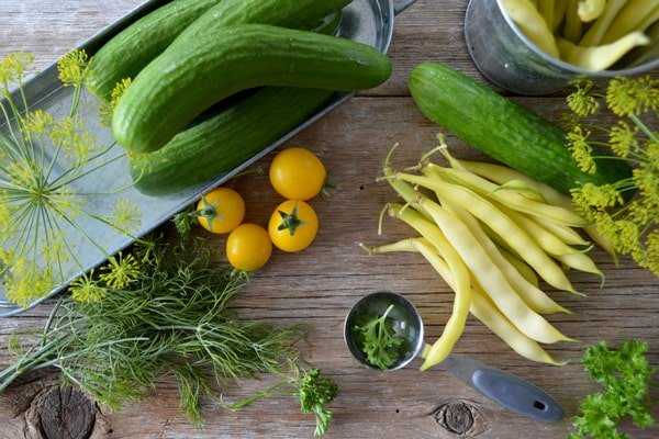 Id eum numquam dolor